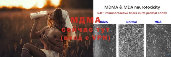 сатива Белокуриха