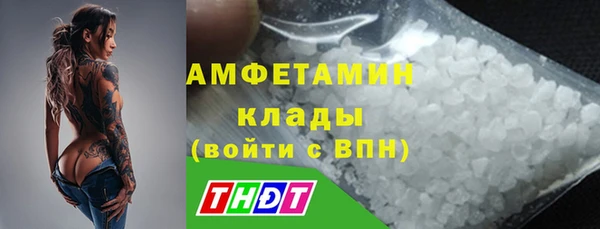 сатива Белокуриха