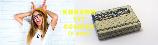 сатива Белокуриха