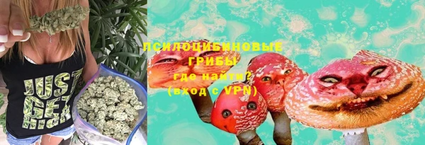 сатива Белокуриха