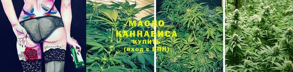 сатива Белокуриха