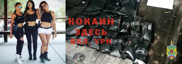 сатива Белокуриха