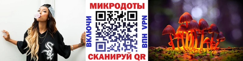 Псилоцибиновые грибы мухоморы  купить закладку  Тында 